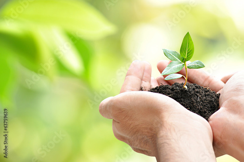 Hands holding sapling with soil on green natural background