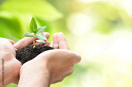 Hands holding sapling with soil on green natural background