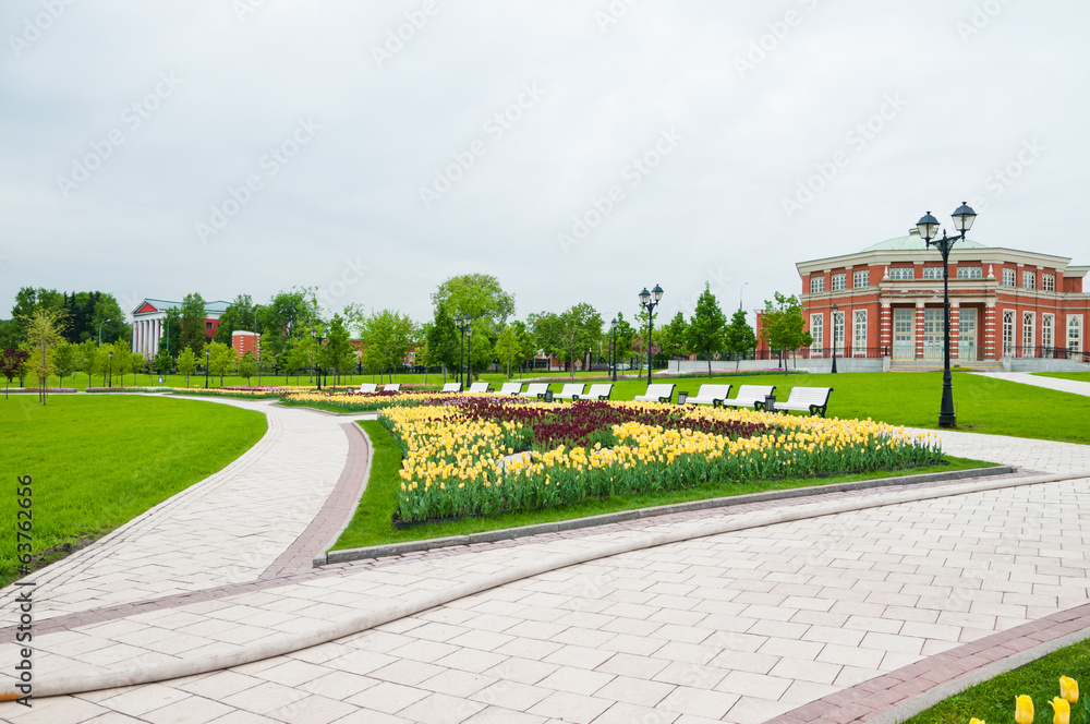 Fototapeta premium Green city park in sunny summer day