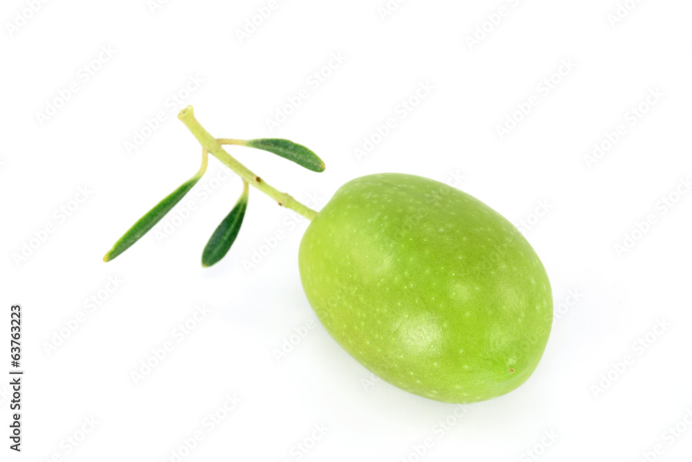 Obraz premium Fresh olive branch