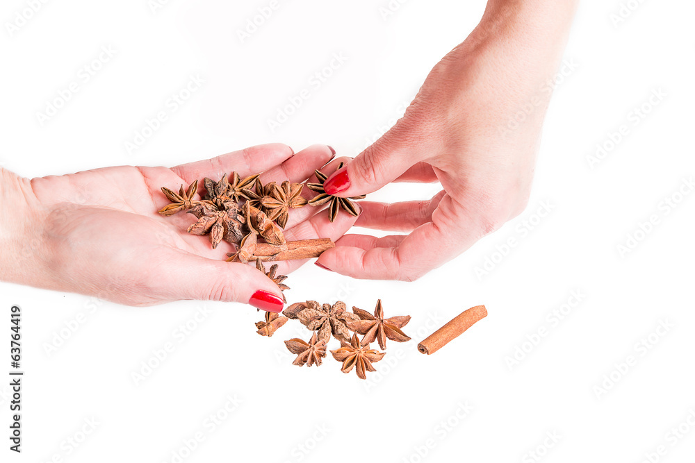 woman hands holding spices, cinnamon and anise