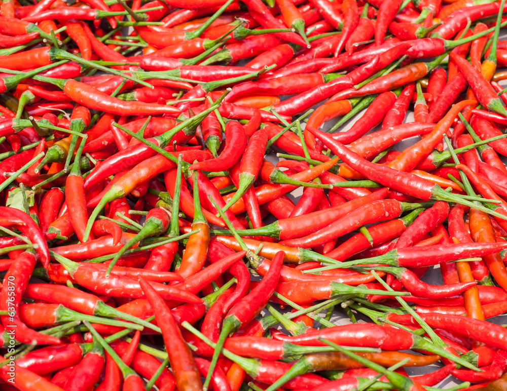Red chili background