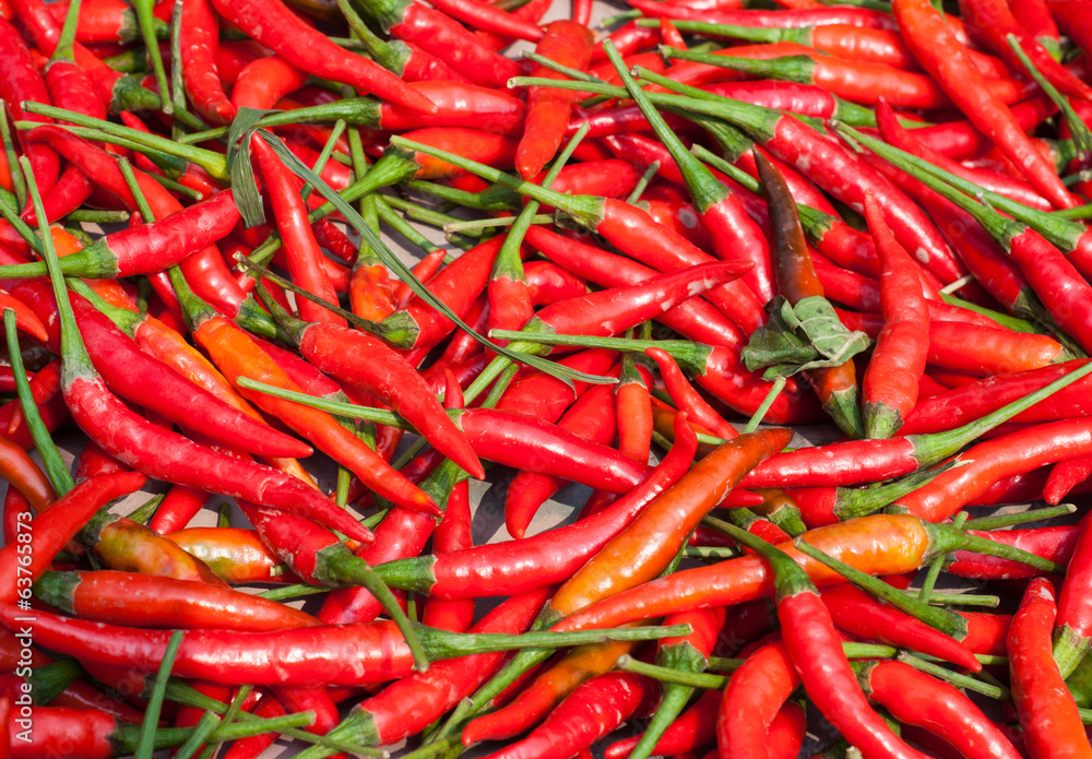 Red chili background