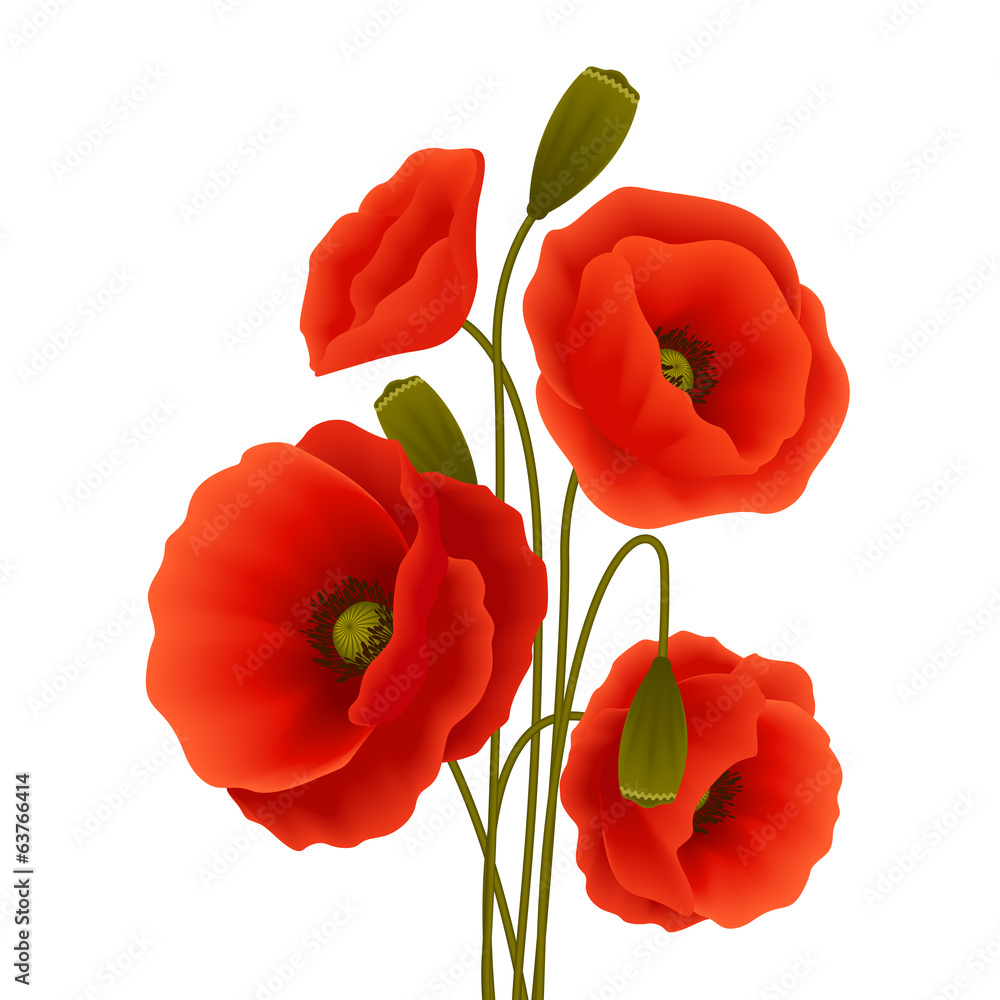 Naklejka premium Poppy flower poster
