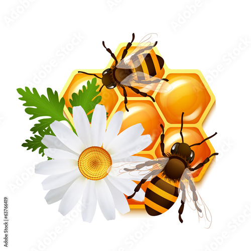 Honeycomb bee flowers emblem