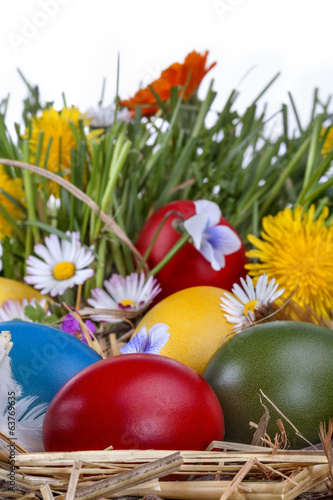 Colorful Easter eggs in the grass and flowers