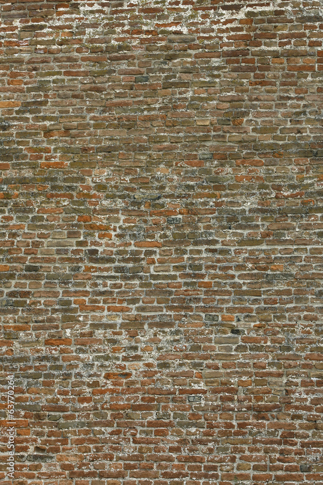 Fototapeta premium Old brick wall in a background image