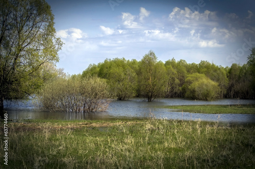 Fototapeta Naklejka Na Ścianę i Meble -  spring landscape