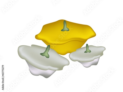 Pile of Pattypan Squash on White Background