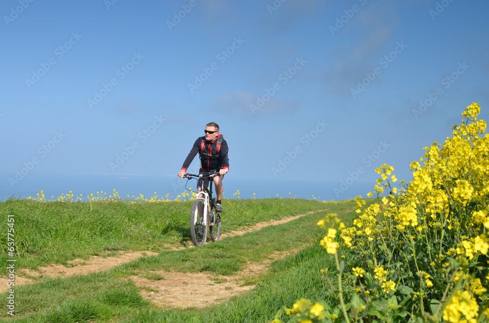 vtt au printemps vtt au printemps