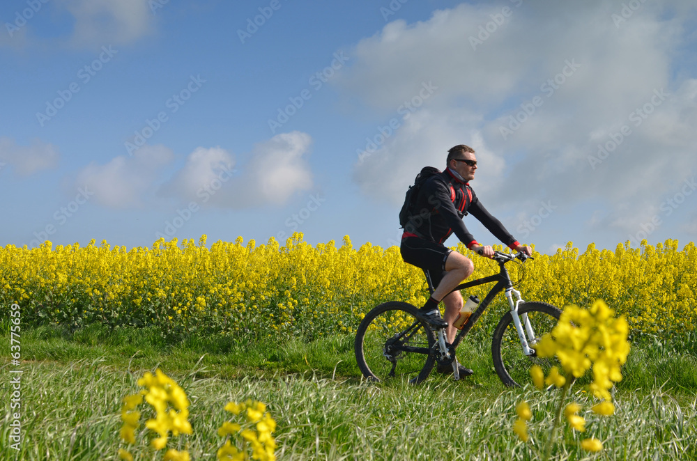 Naklejka premium vtt au printemps