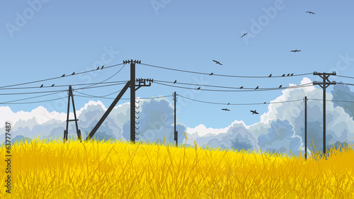 Vector illustration of birds in sky and on power line.