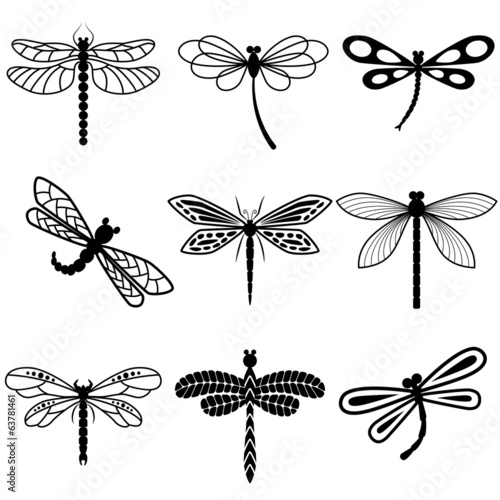 Dragonflies, black silhouettes on white background