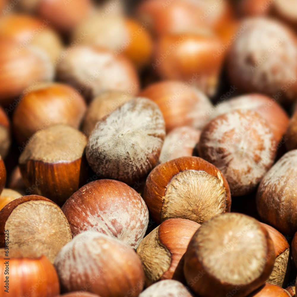 Hazelnuts background macro. Heap of hazel nuts background close