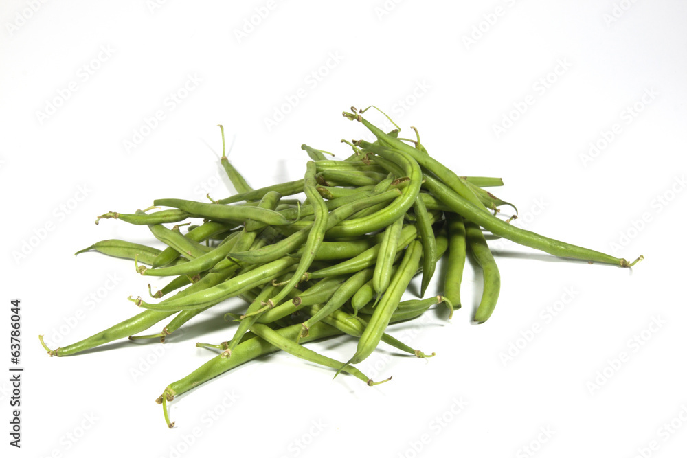 Isolated Pile of Freshly Picked Green Beans Isolated Pile of Freshly Picked Green Beans
