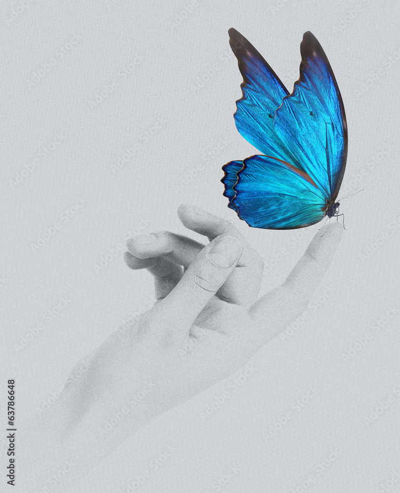 Fototapeta premium butterfly on woman's hand. In motion