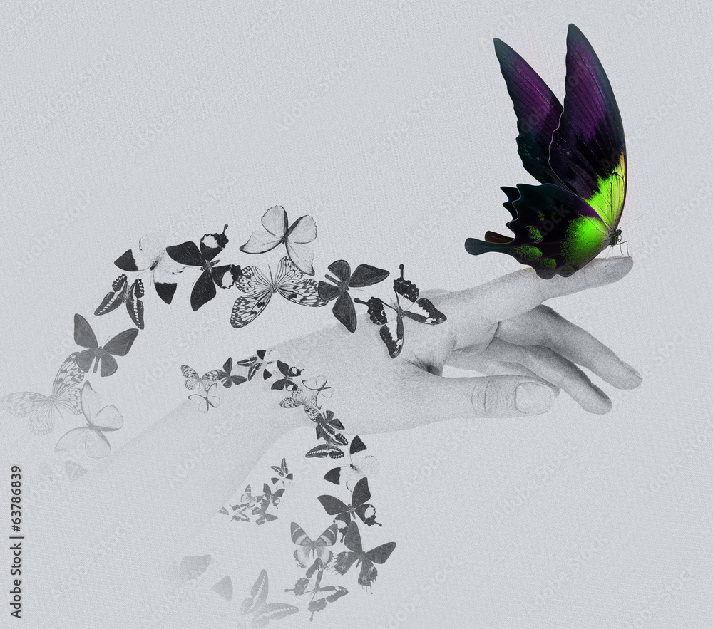 Obraz premium butterfly on woman's hand. In motion