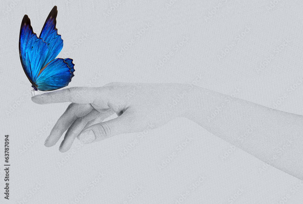 Obraz premium butterfly on woman's hand. In motion