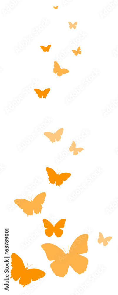 Obraz premium Schmetterlinge