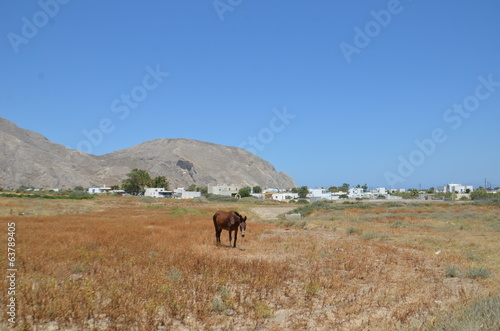 Ile grecque de Santorini