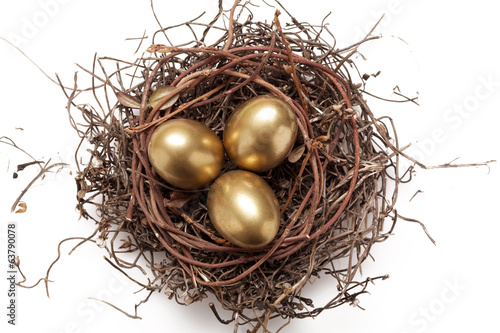 Golden eggs in nest