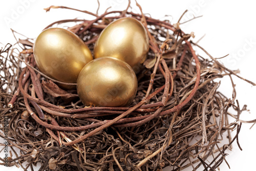 Golden eggs in nest