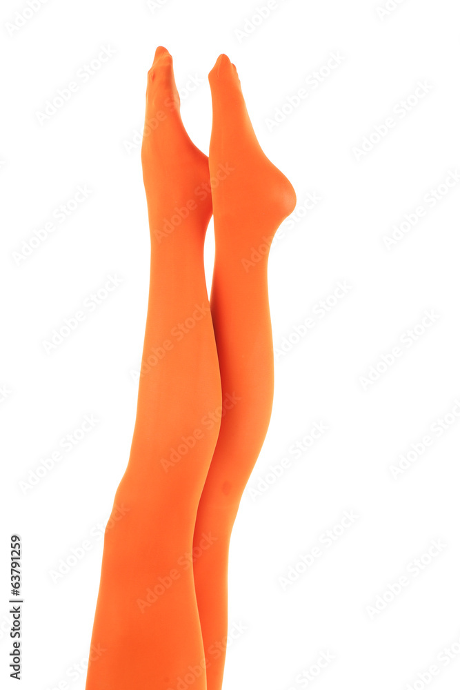 Stockings on perfect woman legs, isolated on white Stockings on perfect woman legs, isolated on white