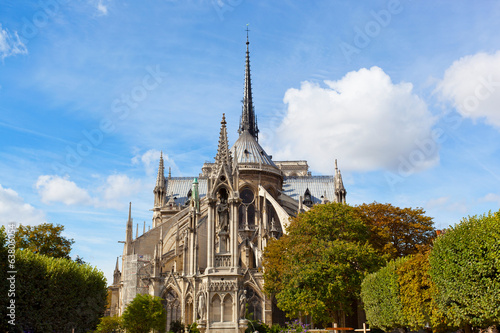 Notre-Dame in sunny autumn day, Paris, France