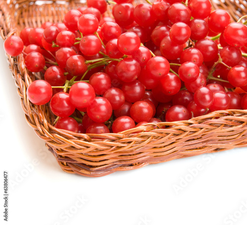 Fresh cranberries in basket isolated on white background