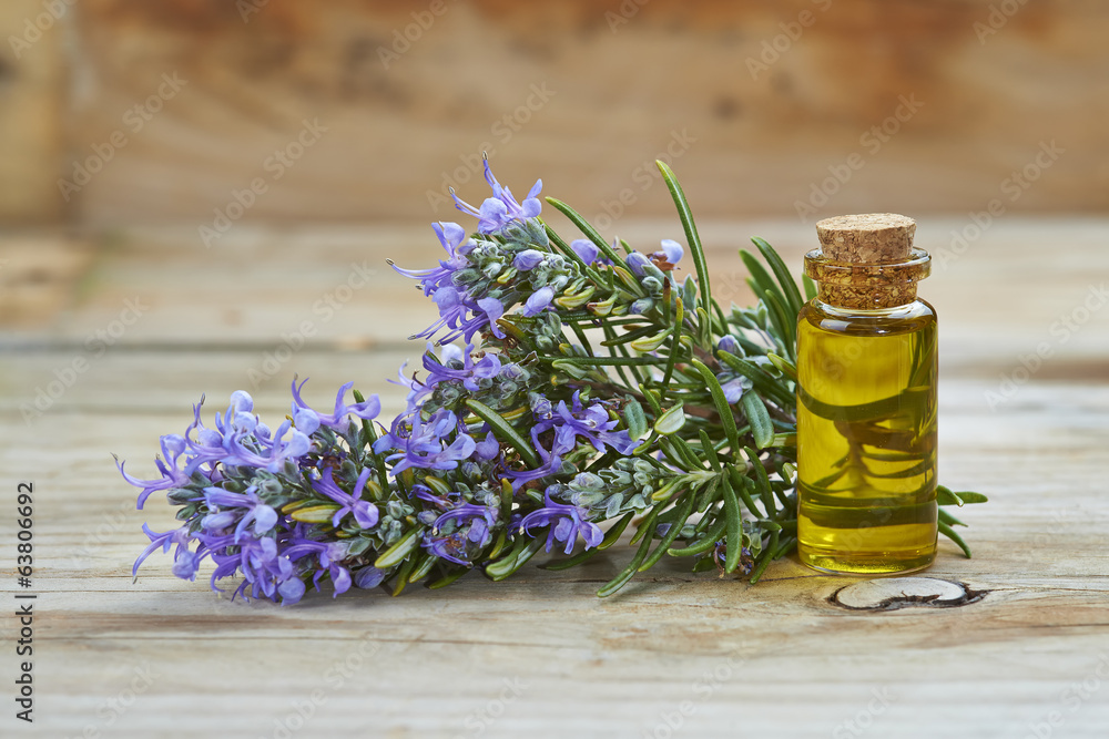 Aceite esencial de romero para uso cosmético y medicinal Aceite esencial de romero para uso cosmético y medicinal