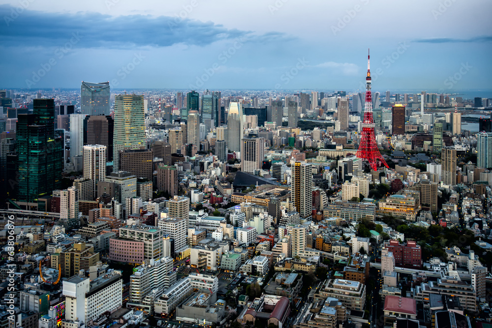 Fototapeta premium Tokyo city view