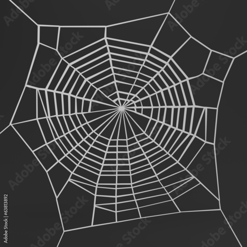 realistic 3d render of spiderweb
