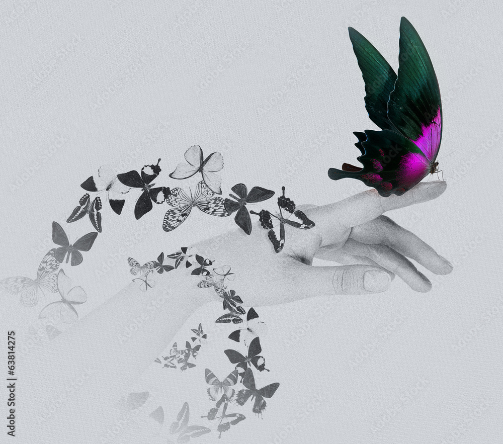 Obraz premium butterfly on woman's hand. In motion
