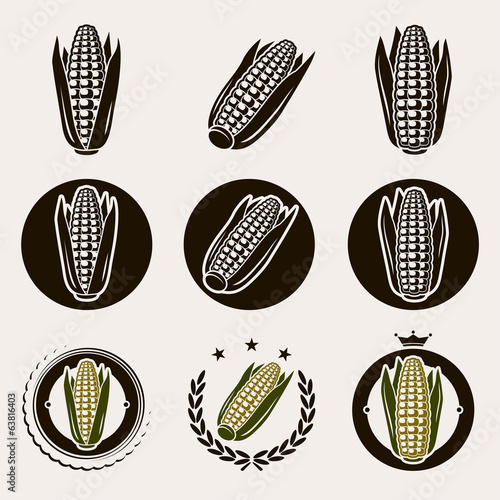 Corn label and icons set. Vector