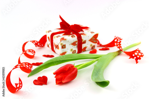 Tulipan i prezent, kompozycja na białym tle