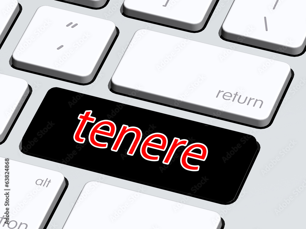 tenere2