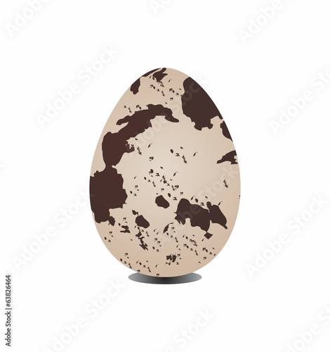 quail egg