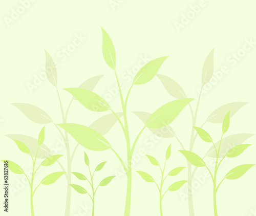 Plant background