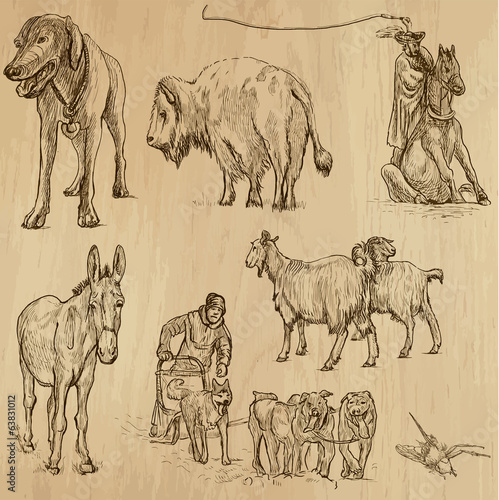 Animals around the World (set no. 9) - vector set, hand drawn