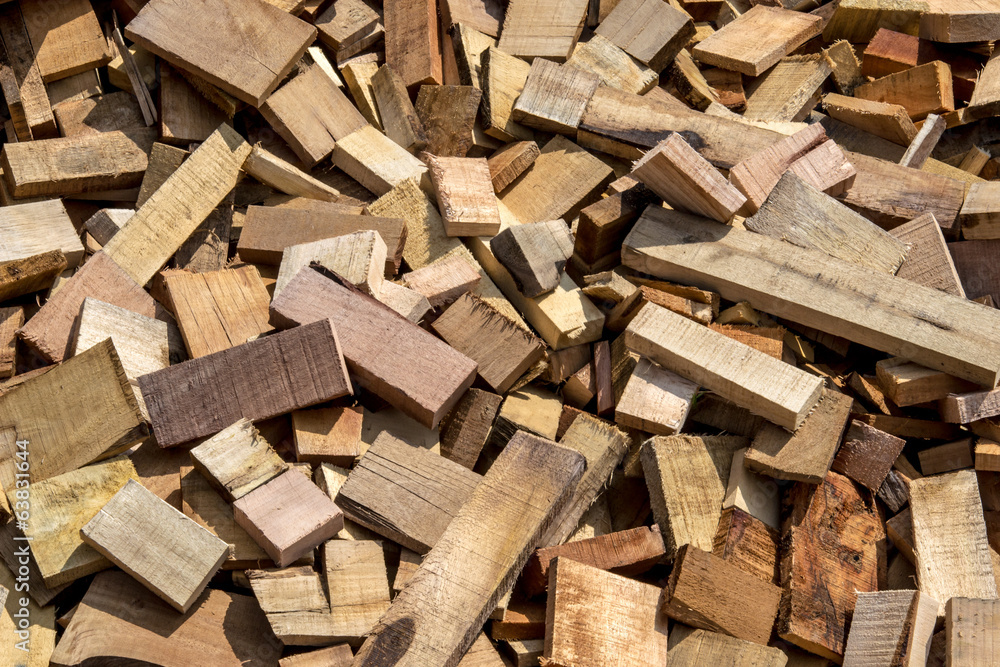 Pile of cut wood from the forest Pile of cut wood from the forest