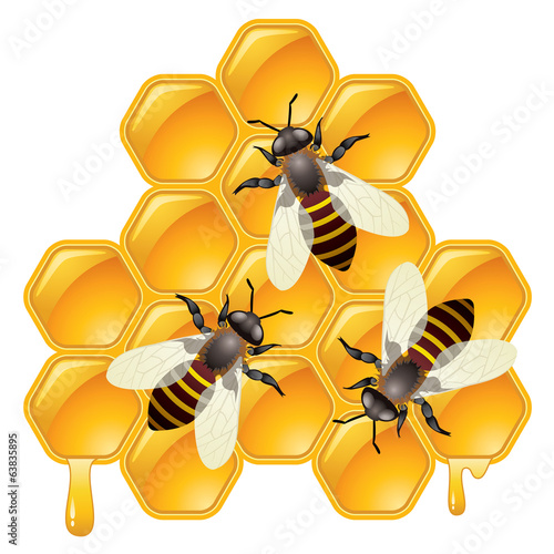 vector working bees on honeycells