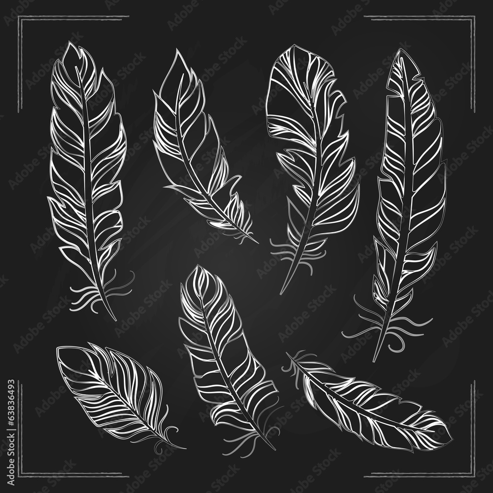 Obraz premium Feathers drawn with chalk on a blackboard