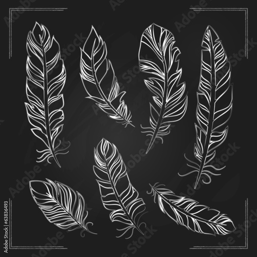 Feathers drawn with chalk on a blackboard