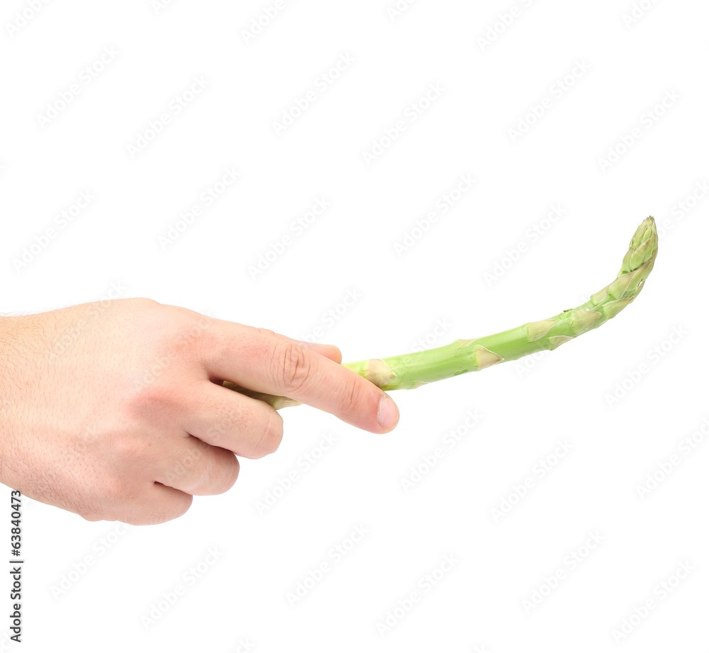 Green asparagus in a man's hand. Green asparagus in a man's hand.
