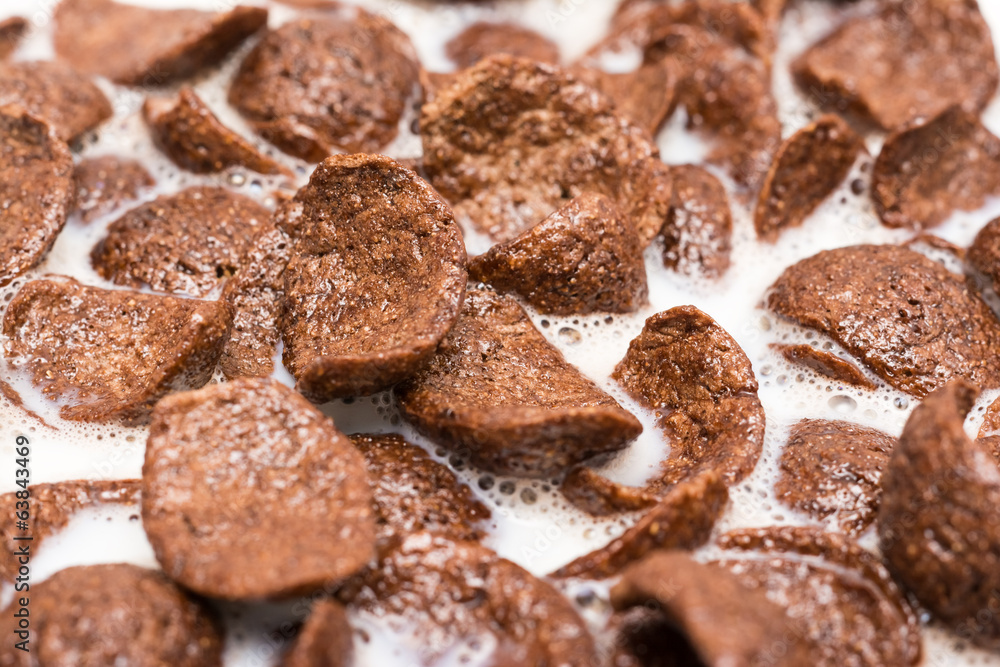 Chocolate Corn Flakes With Milk Close Up Chocolate Corn Flakes With Milk Close Up