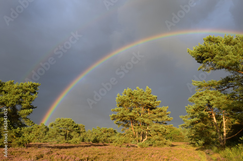 Landscape with heather (Calluna vulgaris) with two rainbows.