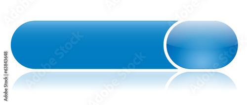 Bouton Web Bleu (internet touche vecteur gel brillant reflet)
