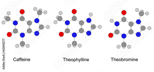 Structural chemical formulas of purine alkaloids