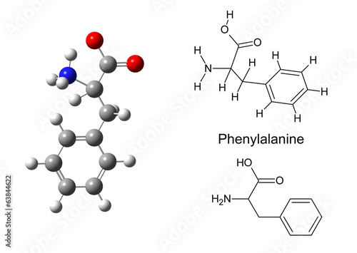 Structural model of phenylalanine molecule