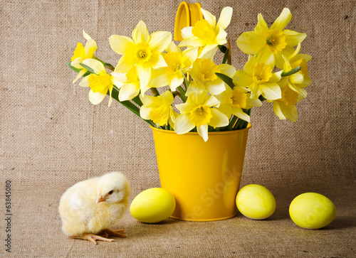 Cute little chick and easter eggs